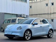 ORA Good Cat 400km Standard Range Athena Edition Ternary Lithium - ფოტო 1