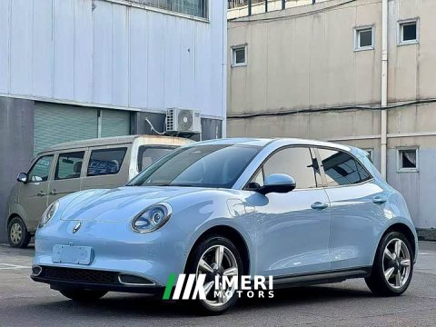 2021 ORA Good Cat 400km Standard Range Athena Edition Ternary Lithium - ავტომობილი ჩინეთიდან
