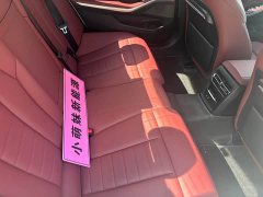 BMW 3 Series Facelift 320Li M Sport Package - ფოტო 14