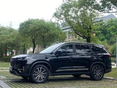 Chery Tiggo 8 PLUS 290TGDI DCT Passion Edition - ფოტო 1