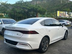 BYD Qin Plus 2021 DM-i 55KM Flagship - ფოტო 13