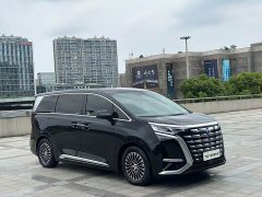Denza D9 2022 DM-i 970 AWD Flagship - ფოტო 3