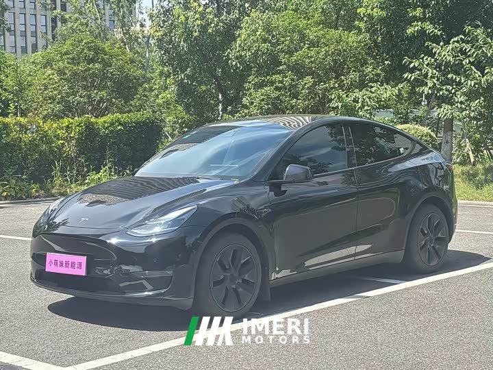 Tesla Model Y Long Range All-Wheel Drive - ავტომობილი ჩინეთიდან