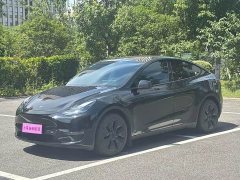 Tesla Model Y Long Range All-Wheel Drive - ფოტო 1
