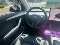 Tesla Model Y Long Range All-Wheel Drive - ფოტო 11