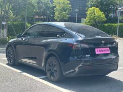 Tesla Model Y Long Range All-Wheel Drive - ფოტო 18