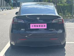 Tesla Model Y Long Range All-Wheel Drive - ფოტო 19