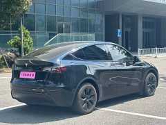 Tesla Model Y Long Range All-Wheel Drive - ფოტო 20