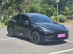 Tesla Model Y Long Range All-Wheel Drive - ფოტო 3