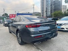 Geely Xingrui 2.0T Diesel Luxury - ფოტო 4