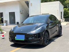 Tesla Model Y Standard Range RWD - ფოტო 1