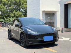 Tesla Model Y Standard Range RWD - ფოტო 3