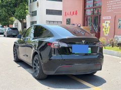 Tesla Model Y Standard Range RWD - ფოტო 9