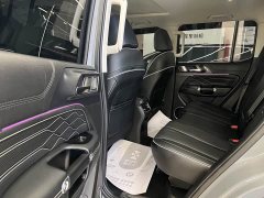 Tank 300 2023 Off-Road Edition 2.0T Conqueror - ფოტო 8