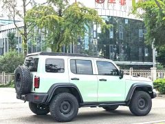 Tank 300 2021 2.0T Wind Forest Iron Cavalry - ფოტო 9
