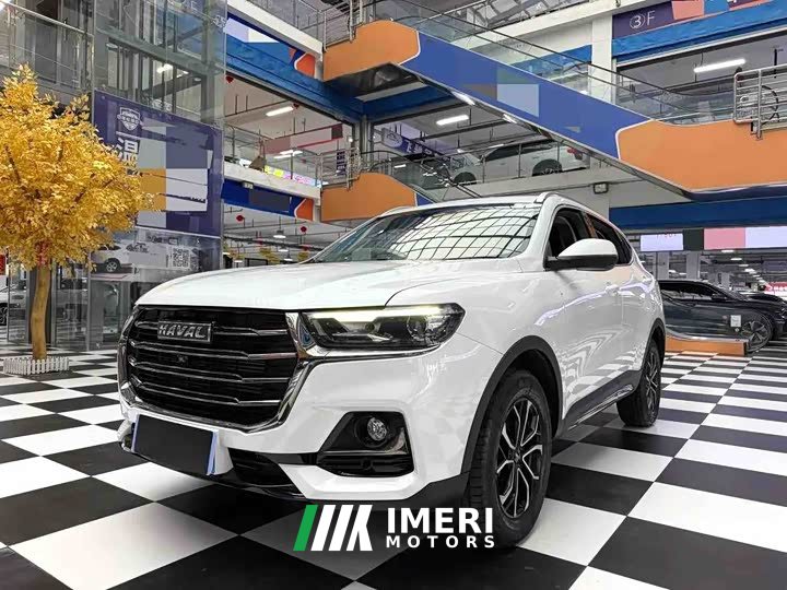 Haval H6 2021 National Trend Edition 1.5T Automatic Urban Version - ავტომობილი ჩინეთიდან