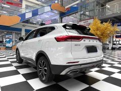 Haval H6 2021 National Trend Edition 1.5T Automatic Urban Version - ფოტო 18
