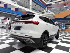 Haval H6 2021 National Trend Edition 1.5T Automatic Urban Version - ფოტო 20
