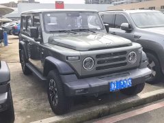 Tank 212 T01 2.0T Review Official - ფოტო 2