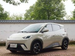 BYD Seagull Glory Edition 405km Flying Edition - ფოტო 1