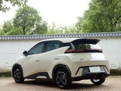 BYD Seagull Glory Edition 405km Flying Edition - ფოტო 10