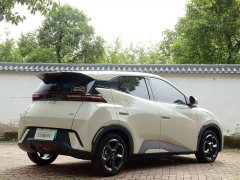 BYD Seagull Glory Edition 405km Flying Edition - ფოტო 11