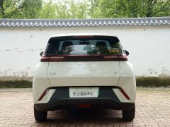 BYD Seagull Glory Edition 405km Flying Edition - ფოტო 12