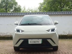 BYD Seagull Glory Edition 405km Flying Edition - ფოტო 2