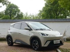 BYD Seagull Glory Edition 405km Flying Edition - ფოტო 3