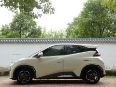 BYD Seagull Glory Edition 405km Flying Edition - ფოტო 9