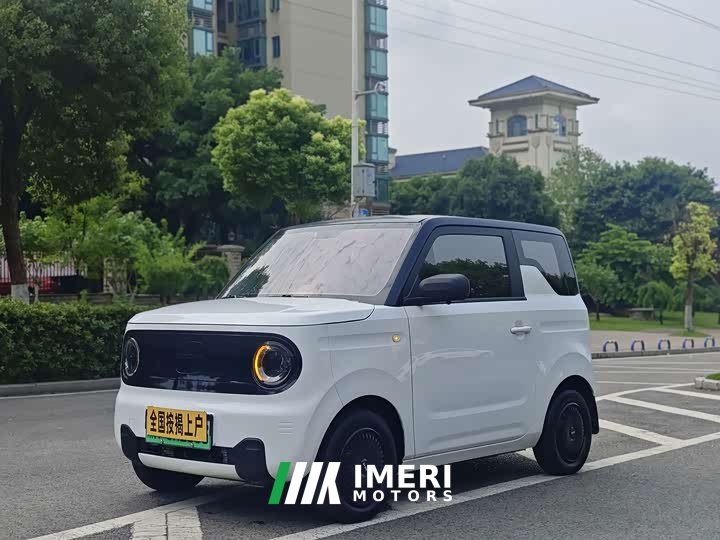 Geely Panda Mini 200km Endurance Edition - ავტომობილი ჩინეთიდან