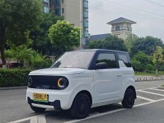 Geely Panda Mini 200km Endurance Edition - ფოტო 1