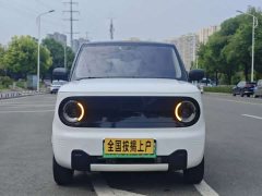 Geely Panda Mini 200km Endurance Edition - ფოტო 2
