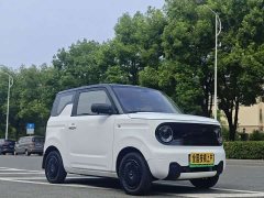 Geely Panda Mini 200km Endurance Edition - ფოტო 3