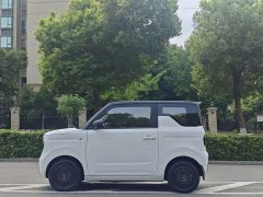 Geely Panda Mini 200km Endurance Edition - ფოტო 4