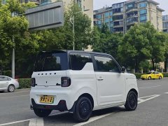 Geely Panda Mini 200km Endurance Edition - ფოტო 7
