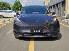 Tesla Model Y Rear-Wheel Drive - ფოტო 2
