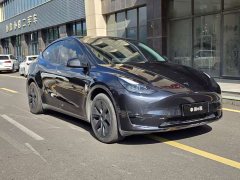 Tesla Model Y Rear-Wheel Drive - ფოტო 3