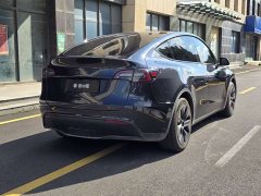 Tesla Model Y Rear-Wheel Drive - ფოტო 4