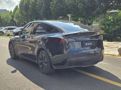 Tesla Model Y Rear-Wheel Drive - ფოტო 6
