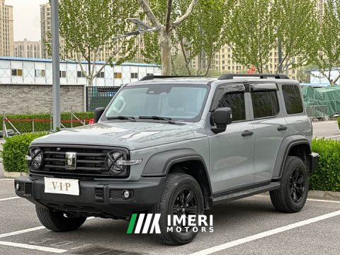 2023 Tank 300 Off-Road Edition 2.0T Conqueror - ავტომობილი ჩინეთიდან