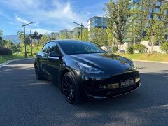 Tesla Model Y 2022 Rear-Wheel Drive - ფოტო 2