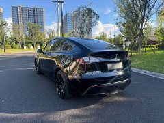 Tesla Model Y 2022 Rear-Wheel Drive - ფოტო 8