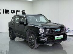 Haval Big Dog PLUS New Energy Hi4 102km Trendy Electric Edition Plus - ფოტო 3