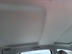 Buick GL8 Land Official Business Class 652T Comfort Edition - ფოტო 13