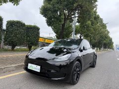 Tesla Model Y 2022 Rear-Wheel Drive - ფოტო 2