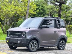 Geely Panda 2025 210km Panda Knight - ფოტო 1
