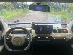 Geely Panda 2025 210km Panda Knight - ფოტო 17