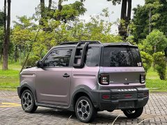 Geely Panda 2025 210km Panda Knight - ფოტო 18