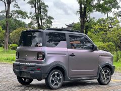 Geely Panda 2025 210km Panda Knight - ფოტო 20